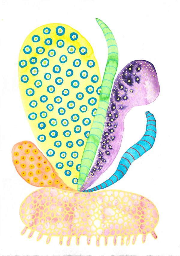 Weird Plant by kelly mccallum