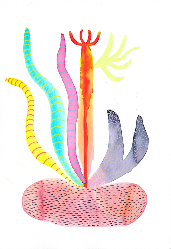 Weird Plant by kelly mccallum