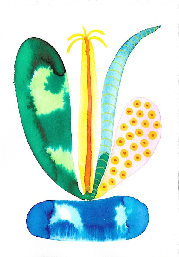 Weird Plant by kelly mccallum