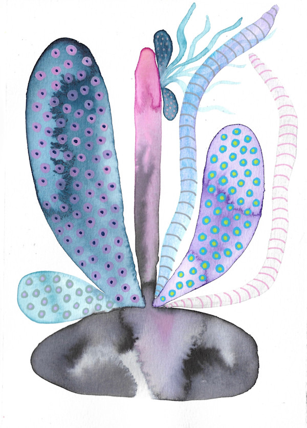 Weird Plant by kelly mccallum