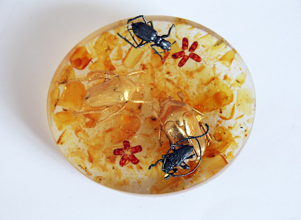 Amber Resin brooches by kelly mccallum