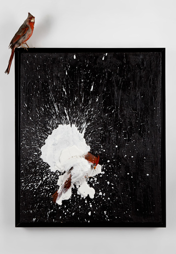 Untitled (bird splatter) by kelly mccallum