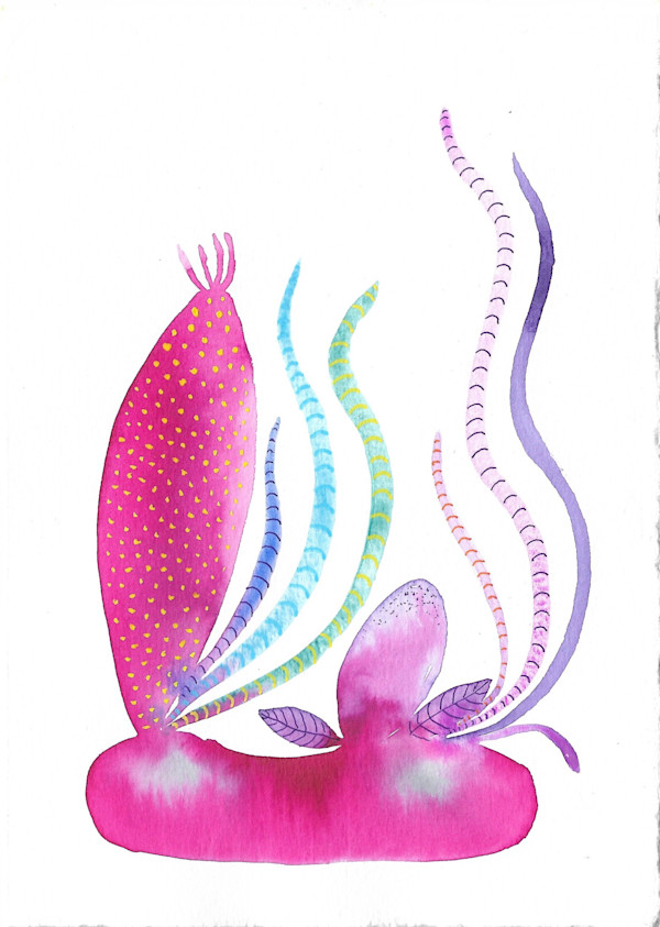 Weird Plant by kelly mccallum