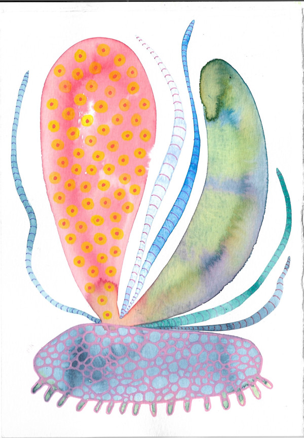 Weird Plant by kelly mccallum