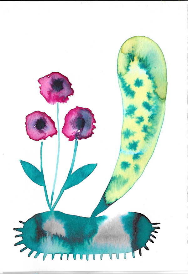 Weird Plant by kelly mccallum
