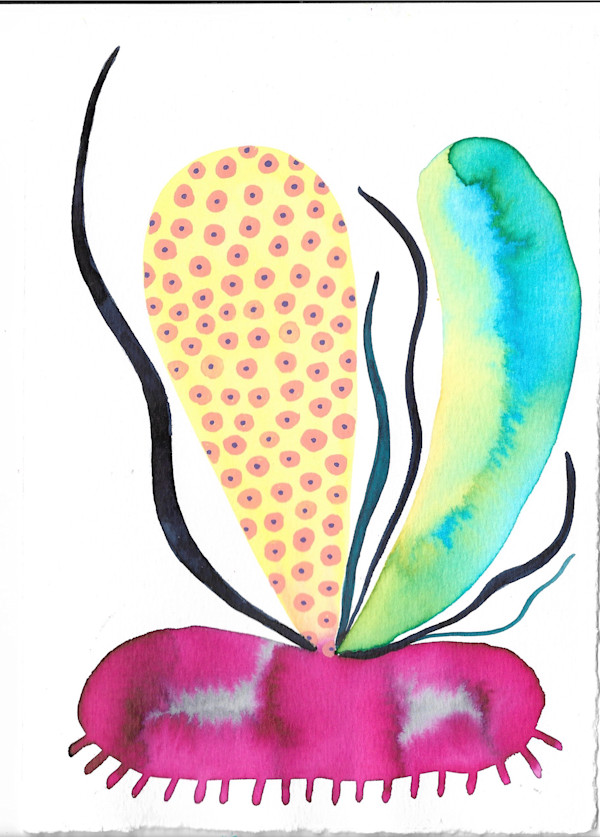 Weird Plant by kelly mccallum