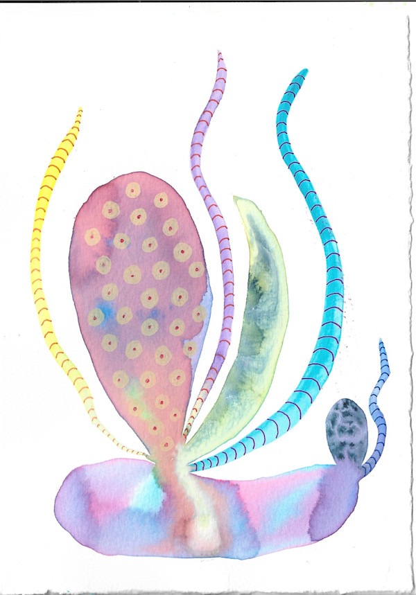 Weird Plant by kelly mccallum