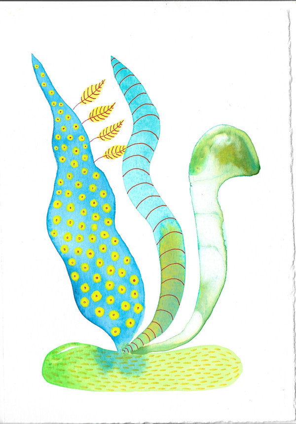 Weird Plant by kelly mccallum