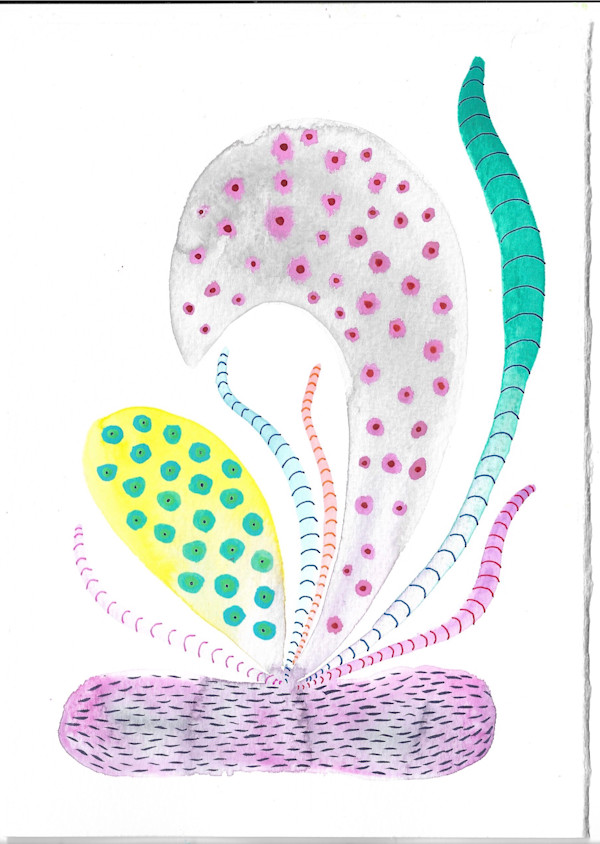 Weird Plant by kelly mccallum
