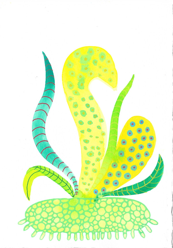 Weird Plant by kelly mccallum