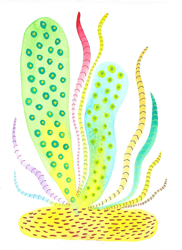 Weird Plant by kelly mccallum