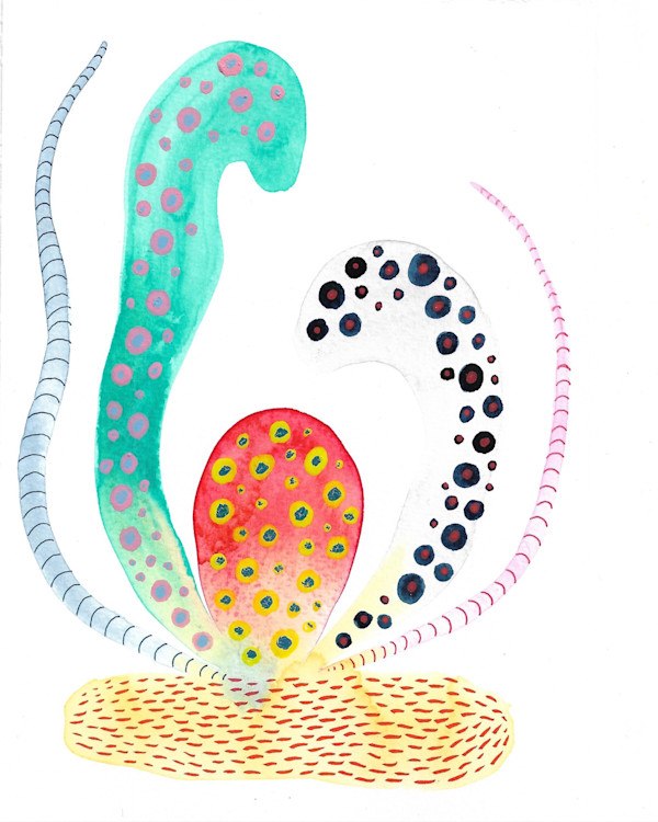 Weird Plant by kelly mccallum