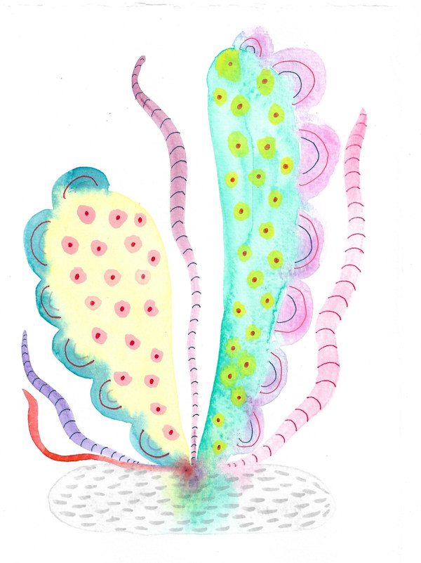Weird Plant by kelly mccallum