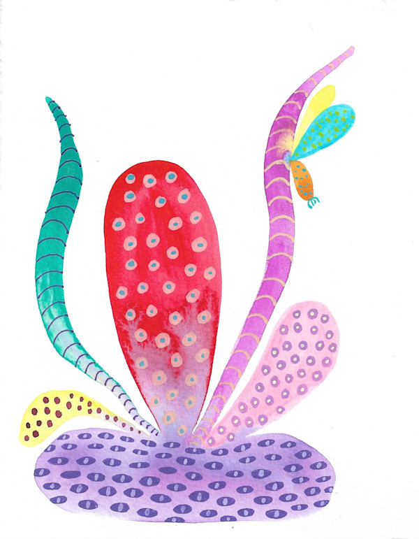 Weird Plant by kelly mccallum