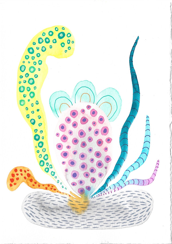 Weird Plant by kelly mccallum