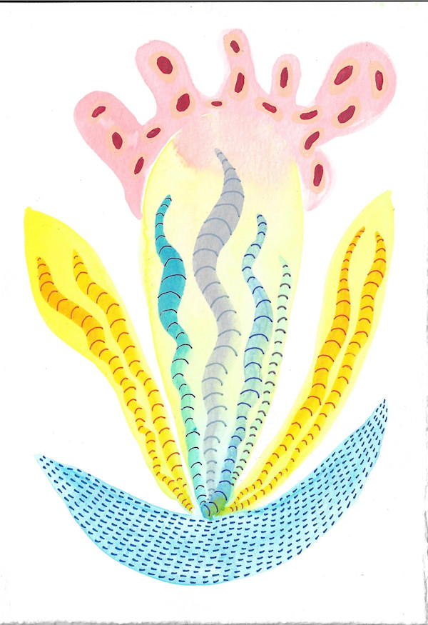 Seed Pod by kelly mccallum