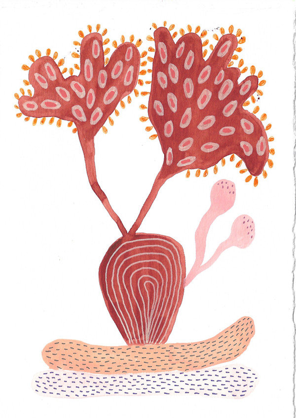 Seed Pod by kelly mccallum