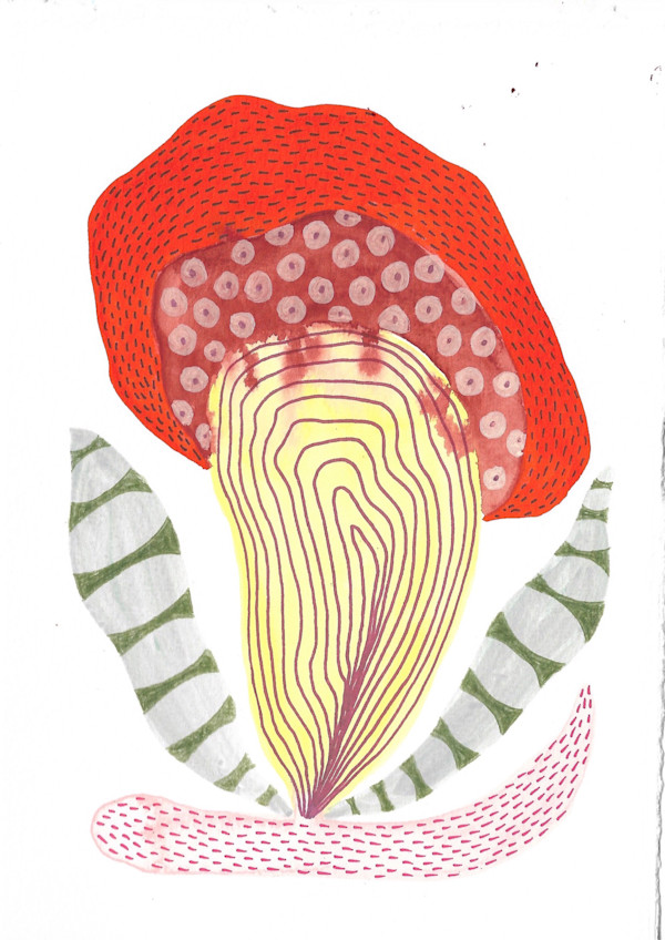 Seed Pod by kelly mccallum