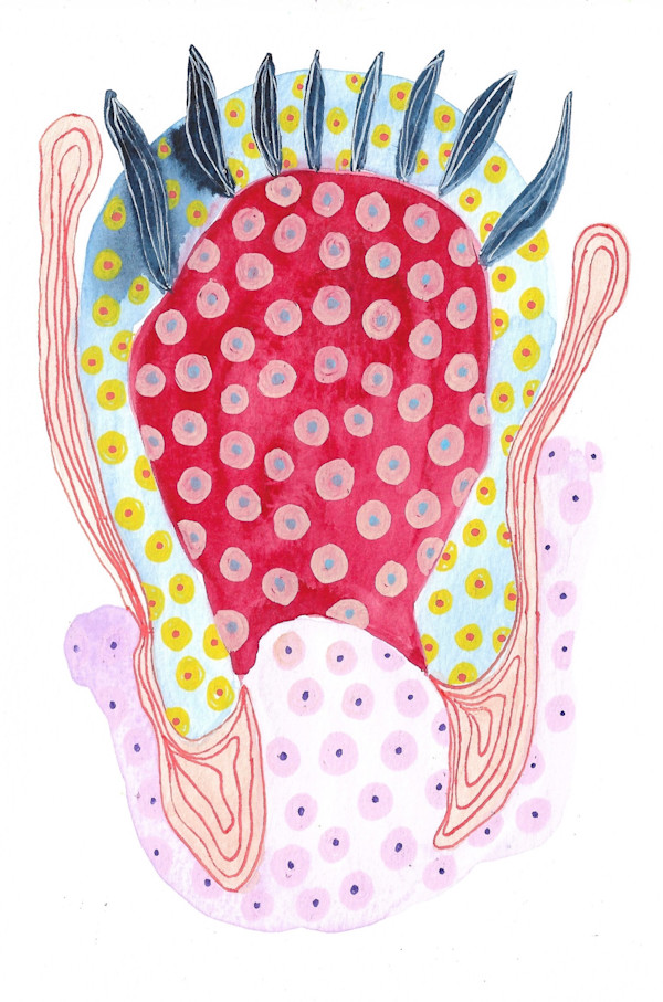 Seed Pod by kelly mccallum