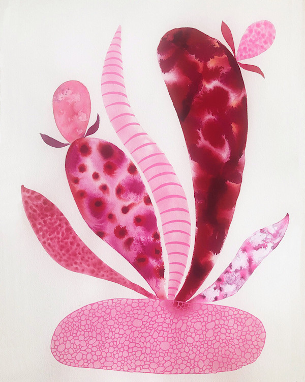 Weird Plant by kelly mccallum