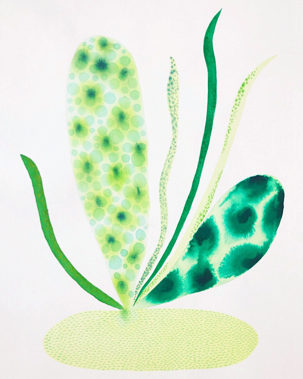 Weird Plant by kelly mccallum