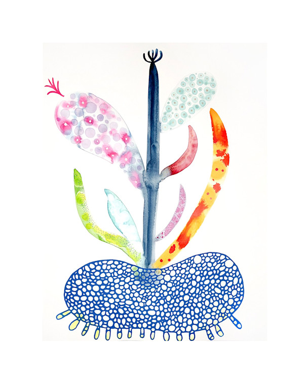 Weird Plant by kelly mccallum
