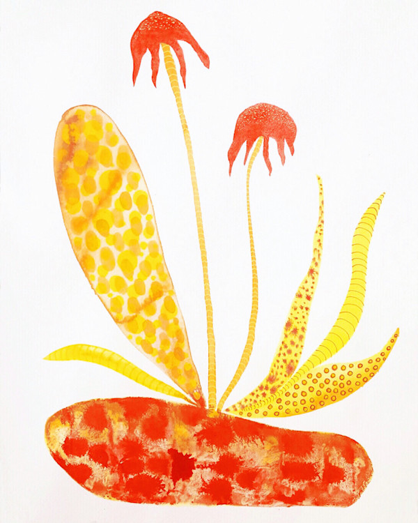 Weird Plant by kelly mccallum