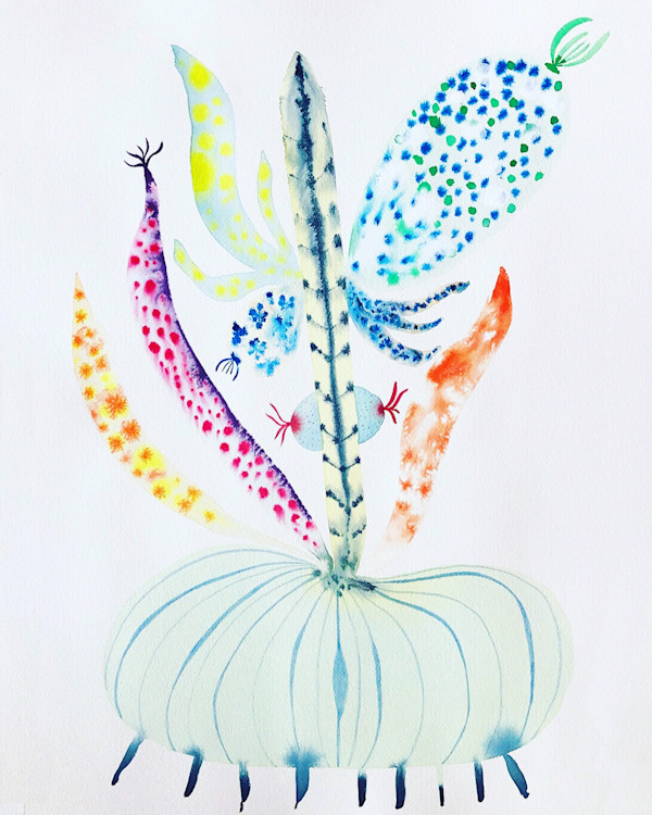 Weird Plant by kelly mccallum