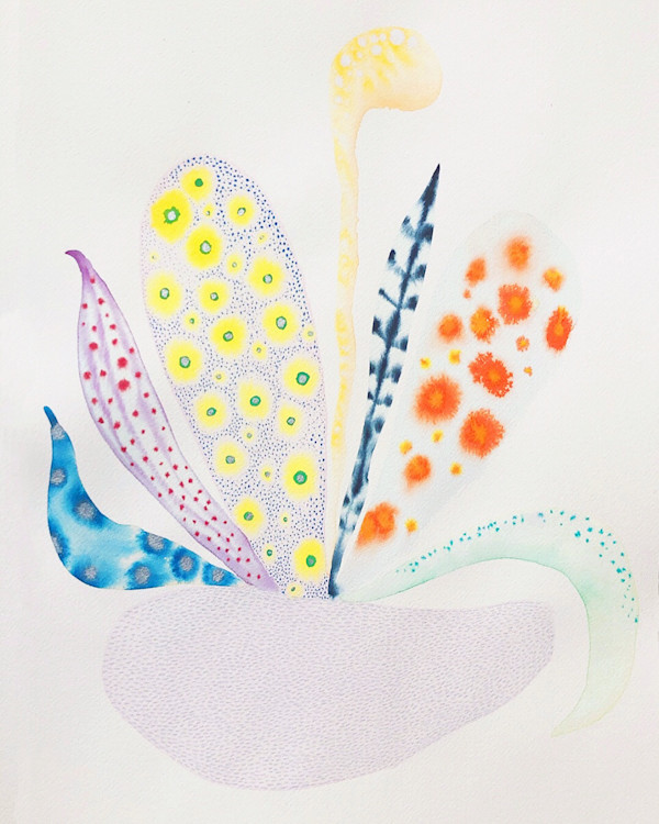 Weird Plant by kelly mccallum