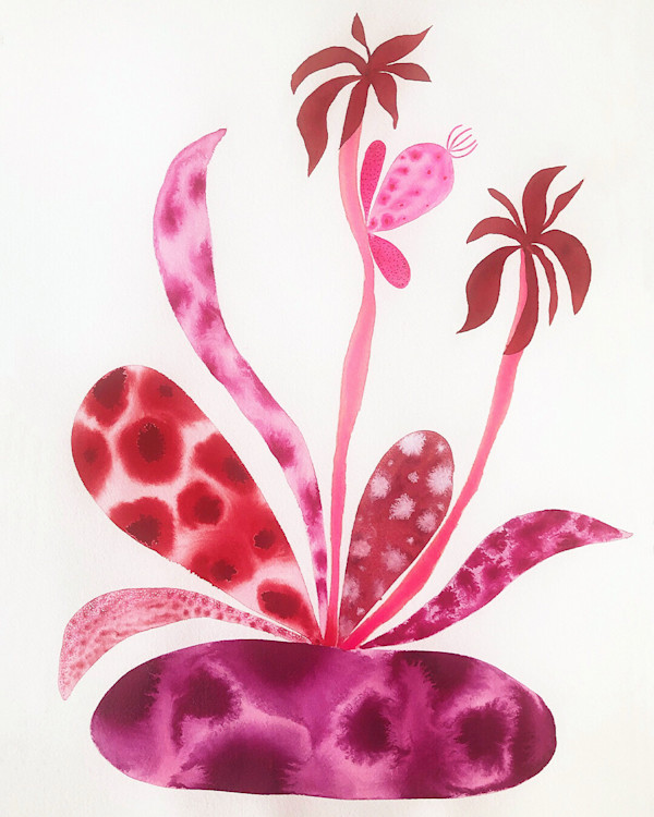 Weird Plant by kelly mccallum