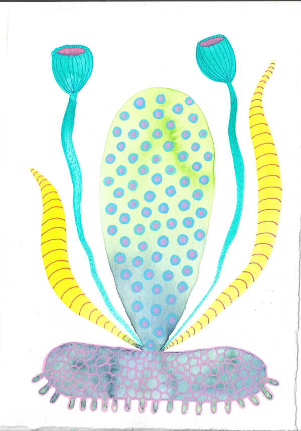 Weird Plant by kelly mccallum