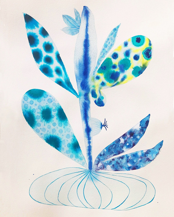 Weird Plant by kelly mccallum