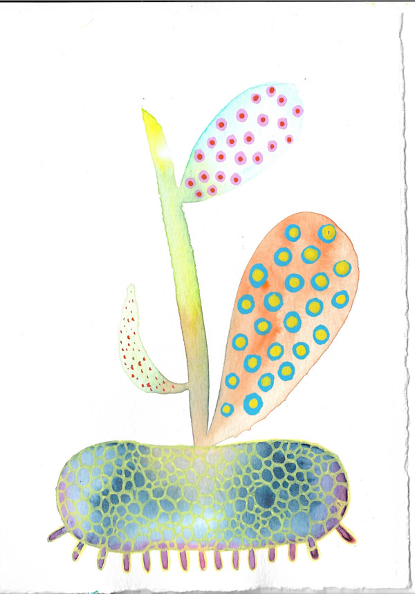 Weird Plant by kelly mccallum