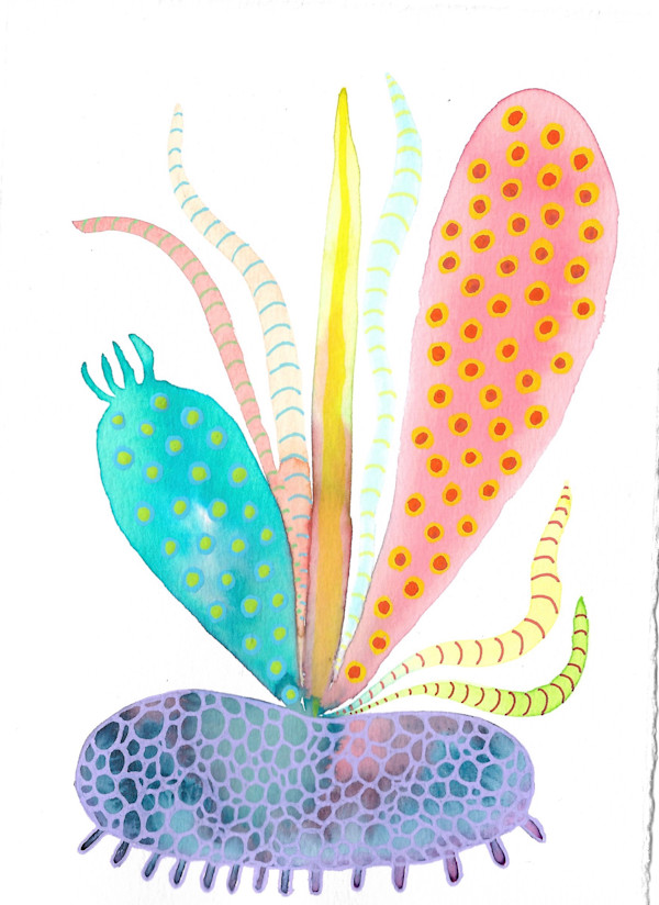 Weird Plant by kelly mccallum