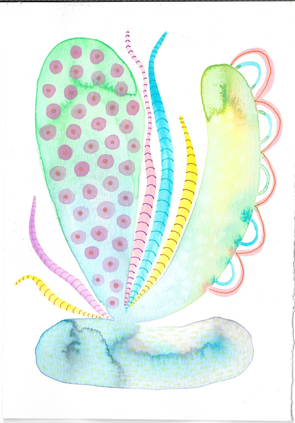 Weird Plant by kelly mccallum