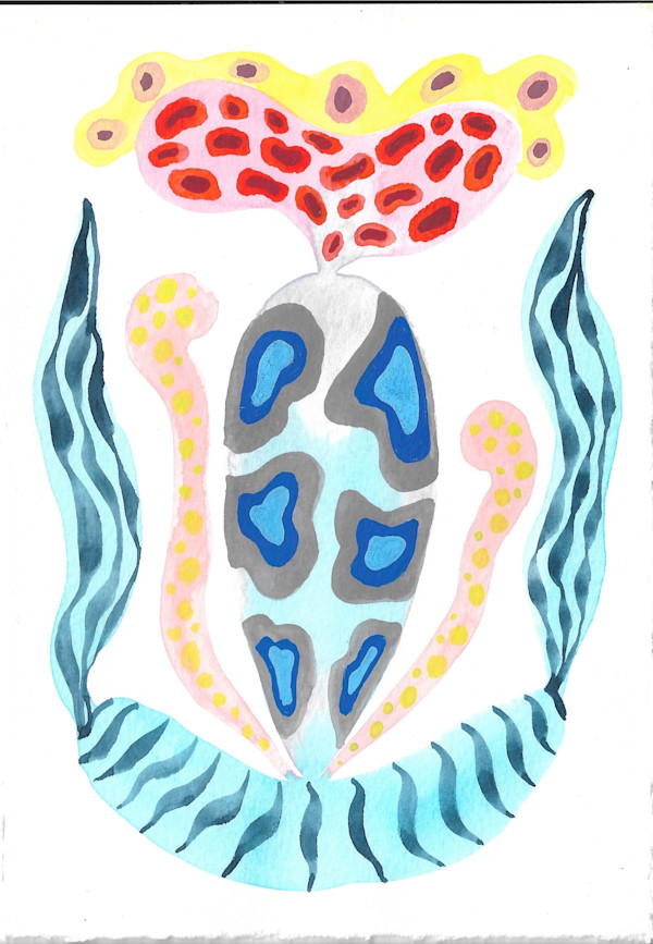 Seed Pod by kelly mccallum