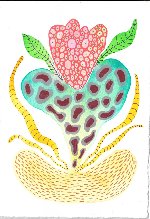 Seed Pod by kelly mccallum