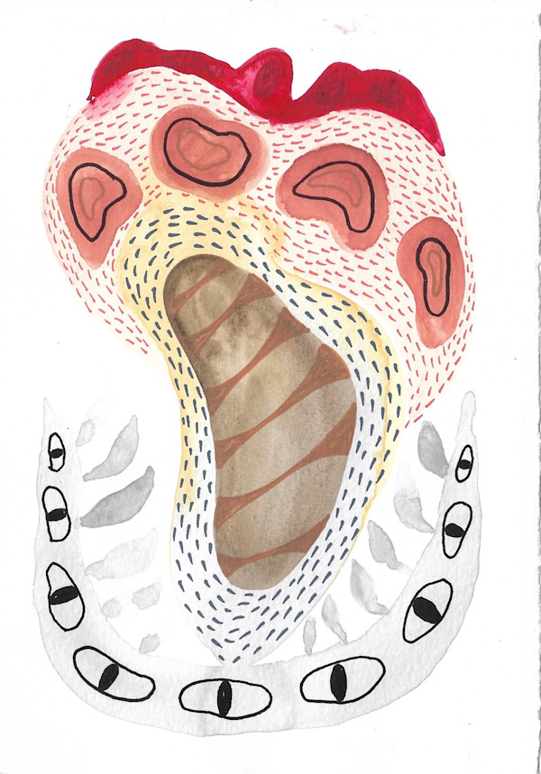 Seed Pod by kelly mccallum