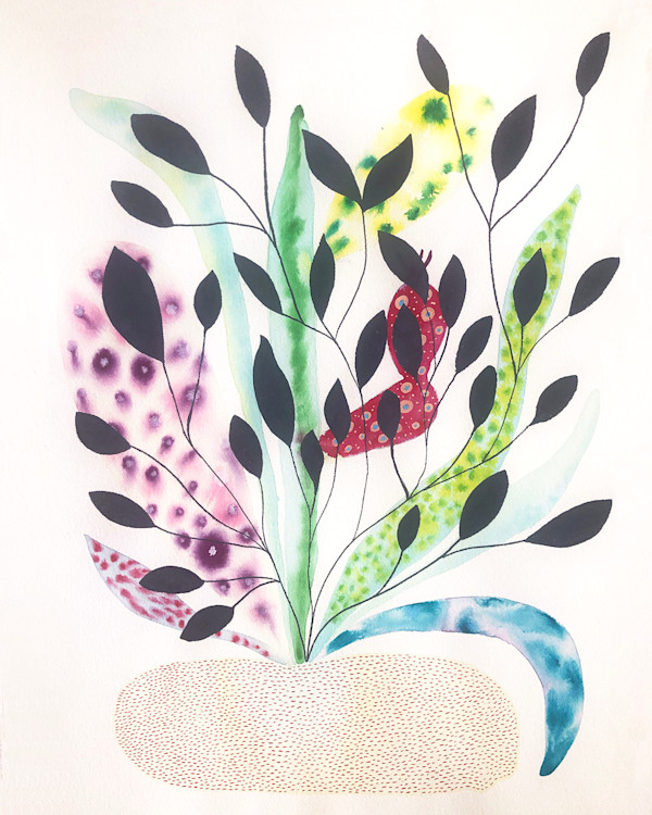 Weird Plant by kelly mccallum