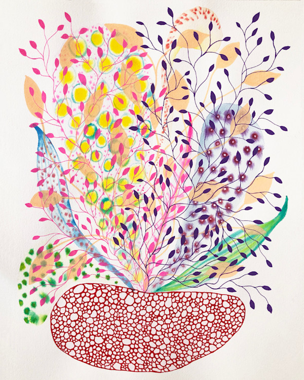 Weird Plant by kelly mccallum