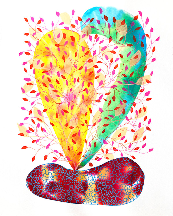 Weird Plant by kelly mccallum