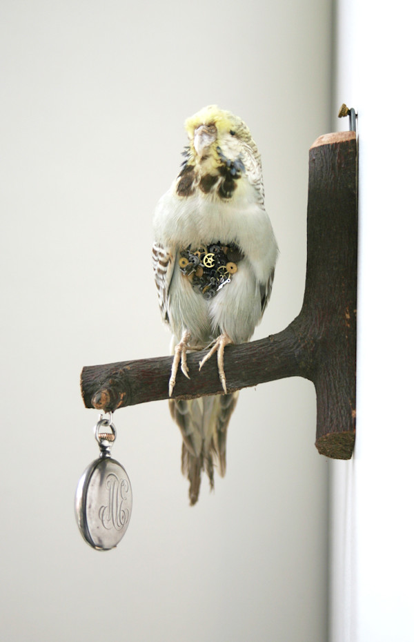 Untitled by kelly mccallum