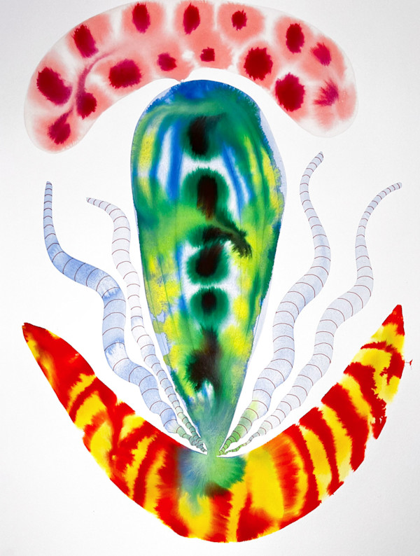 Seed Pod by kelly mccallum