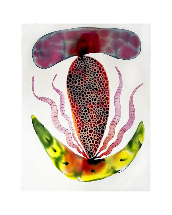 Seed Pod by kelly mccallum