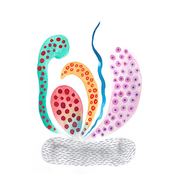 Weird Plant by kelly mccallum