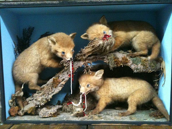 Untitled (baby Foxes) by kelly mccallum