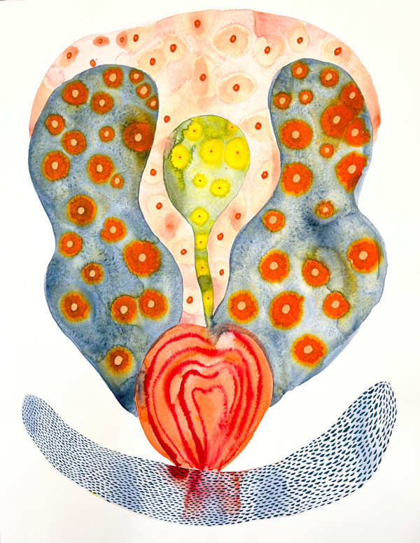Seed Pod by kelly mccallum