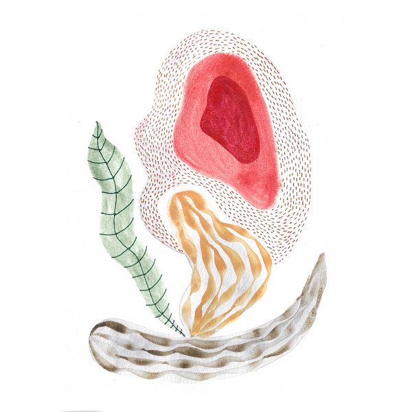 Seed Pod by kelly mccallum