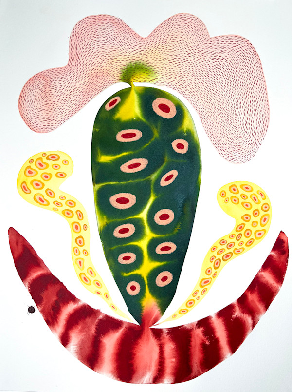 Seed Pod by kelly mccallum