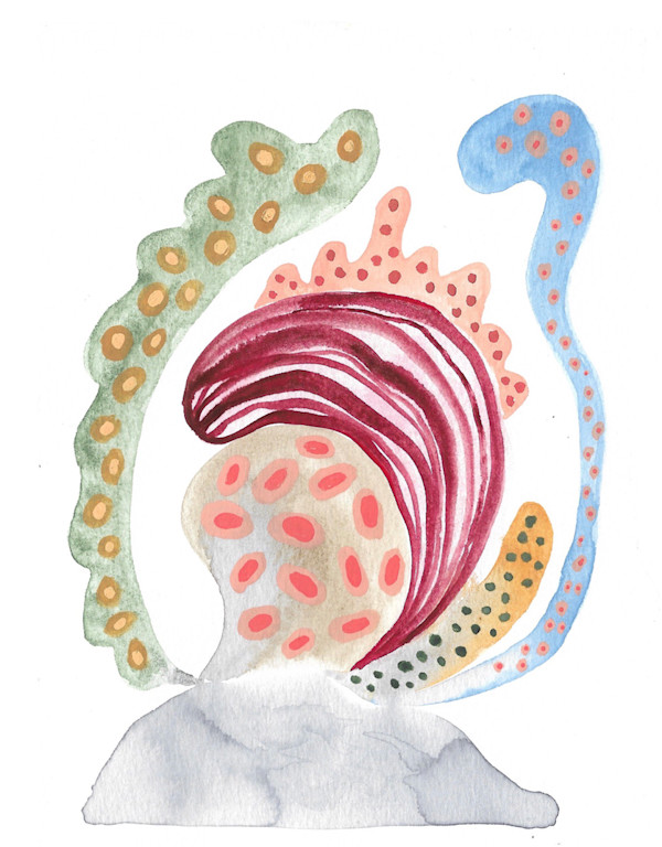 Seed Pod by kelly mccallum